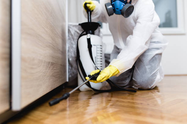 Best Wildlife Control Services  in Quitman, TX