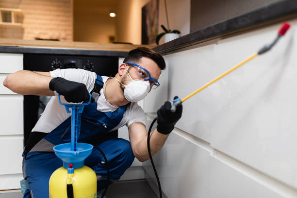 Reliable Quitman, TX Pest Control Solutions