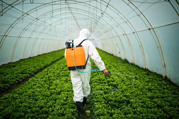 Best Commercial Pest Control Services  in Quitman, TX