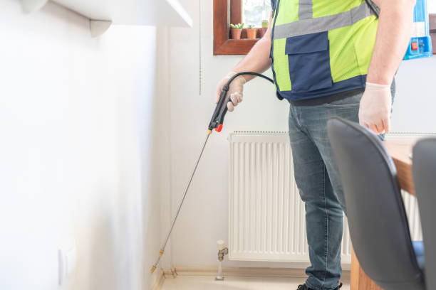 Best Local Pest Control Services  in Quitman, TX