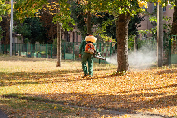 Best Mosquito Control Services  in Quitman, TX