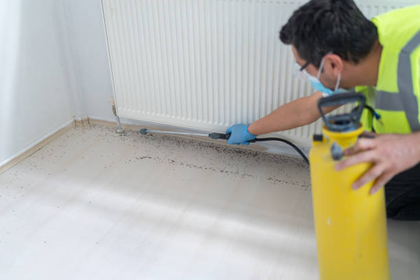 Best Pest Control Near Me  in Quitman, TX